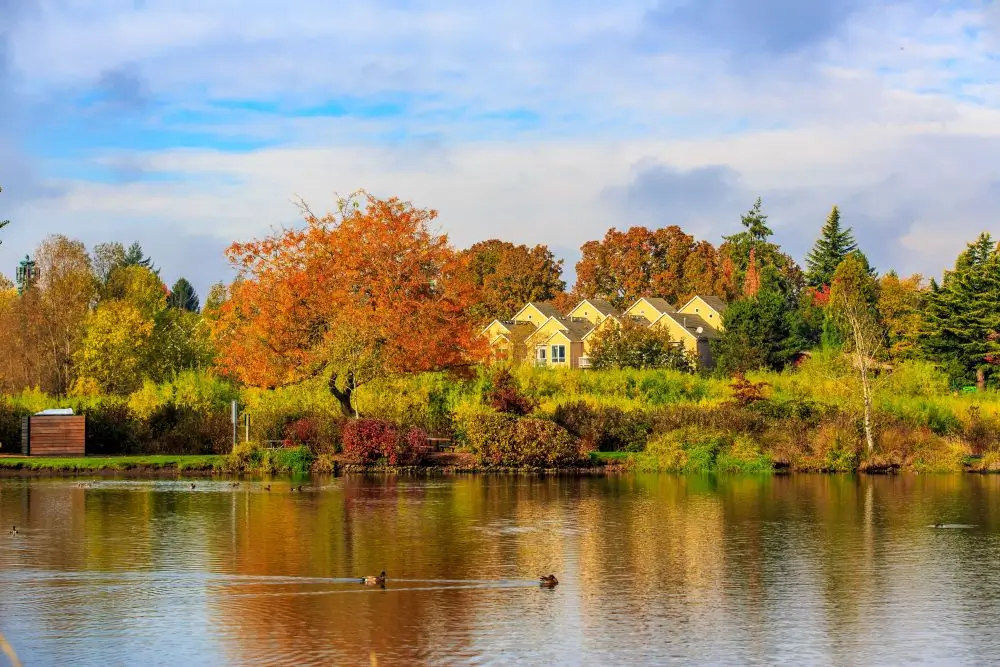 Why Fall Is a Great Time to Buy a Home in Montclair